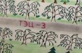 Тиллоева  Фариза, 9 лет, гимназия № 9, г. Кузнецк.